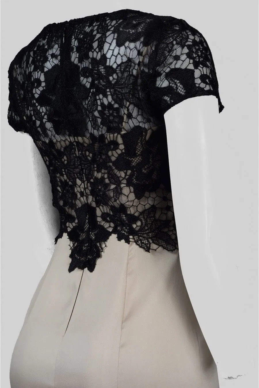 Adrianna Papell AP1E201377 Boat Neck Zipper Back Floral Lace Bodice