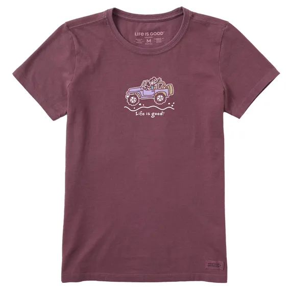 Life Is Good Women's Tee, Mahogany Brown (Size L)