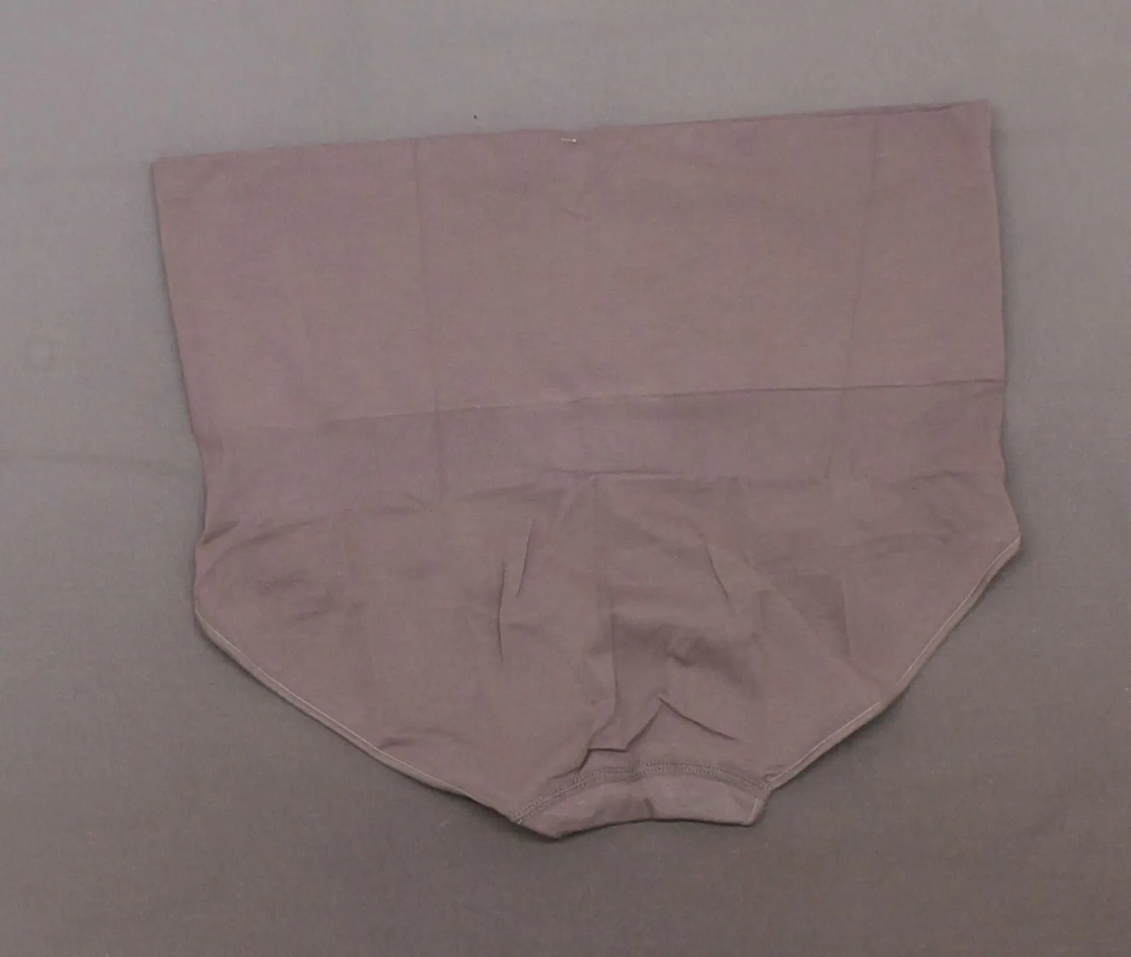 Nearly Nude Women's Plus Size Smoothing Modal Cotton High Waist Brief Panties