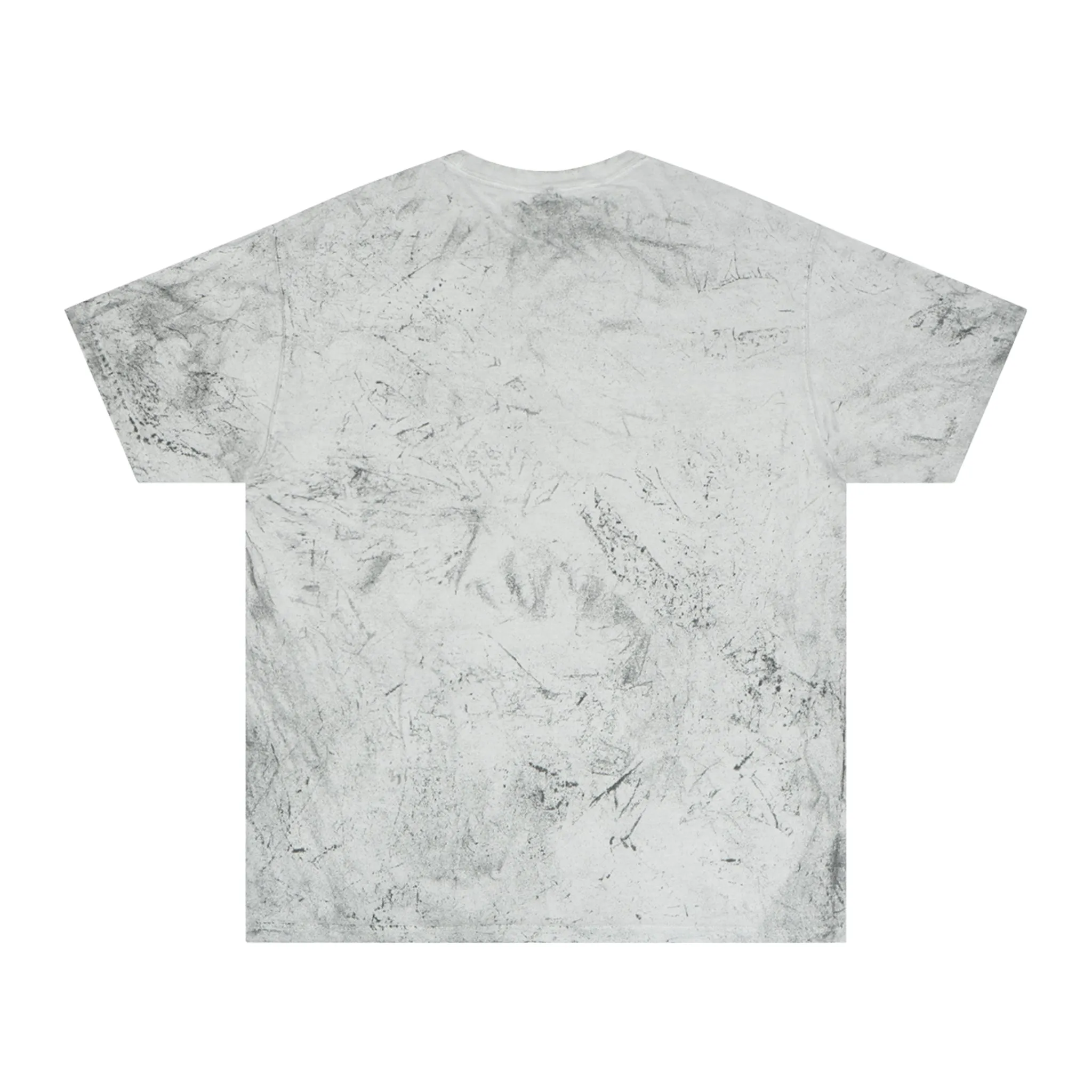 Raw Sushi "RAW" smoke Color Blast T-Shirt
