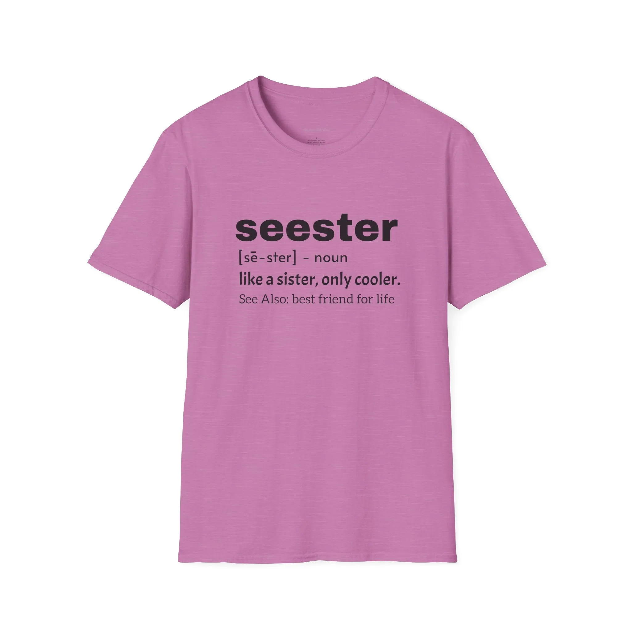 Seester Tee, Seester Shirt, Best Friend Tee, Softstyle T-Shirt
