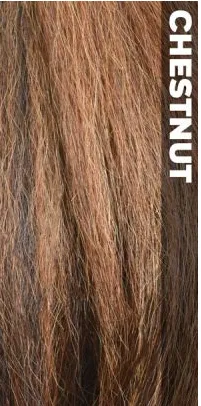 VANESSA EXPRESS LACE PART WIG - TOPS C-SIDE ALIBY