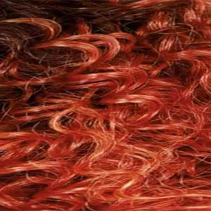 Zury Sis Prime Human Hair Blend Lace Front Wig - PM FP GL ZIHA
