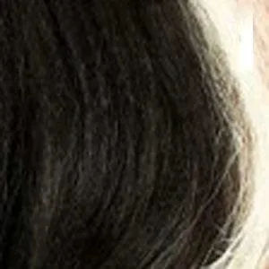 Zury Sis Prime Human Hair Blend Lace Front Wig - PM FP LACE KAMELA
